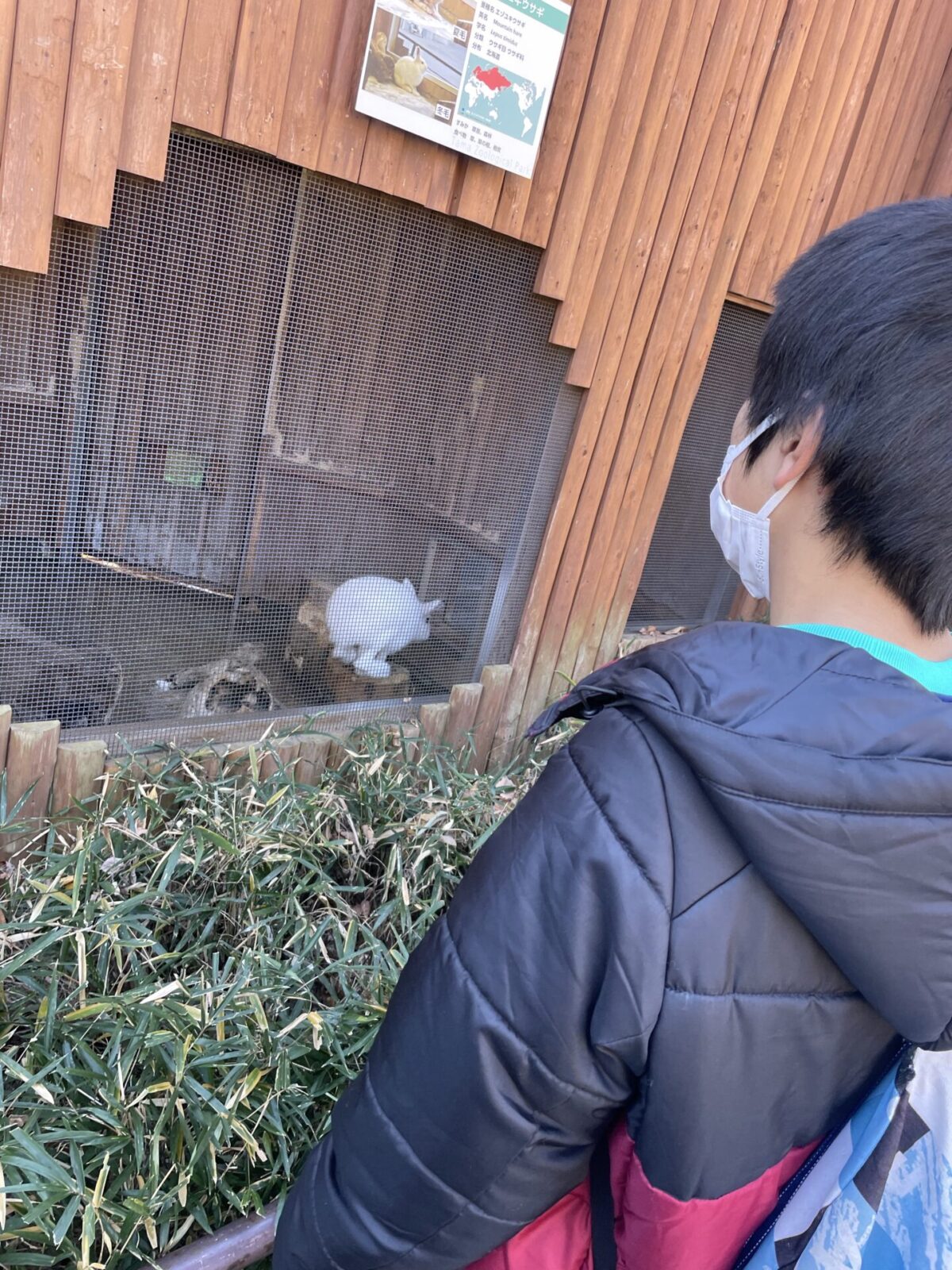 動物を鑑賞する児童