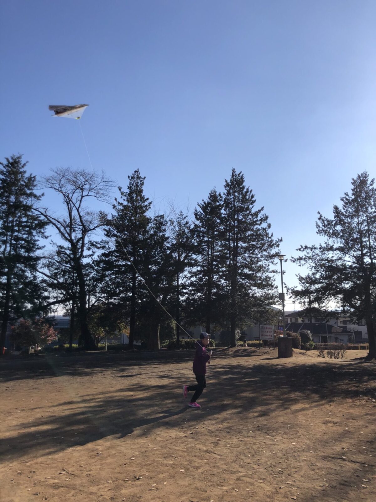 公園で凧揚げをする児童